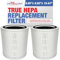 LifeSupplyUSA True HEPA Filter Replacement Compatible With Levoit Core 400S-P Air Purifier Core400S-RF (2-Pack)