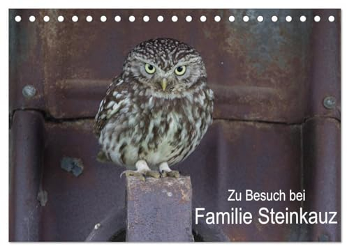 Zu Besuch bei Familie Steinkauz (Tischkalender 2025 DIN A5 quer), CALVENDO Monatskalender: Aus dem Leben einer Steinkauzfamilie (CALVENDO Natur)