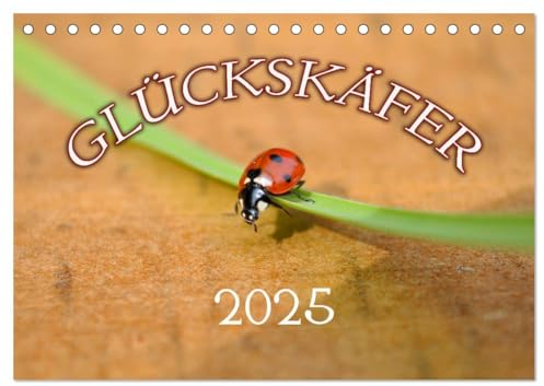 Marienkäfer 2025 (Tischkalender 2025 DIN A5 quer), CALVENDO Monatskalender
