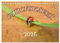 Marienkäfer 2025 (Tischkalender 2025 DIN A5 quer), CALVENDO Monatskalender