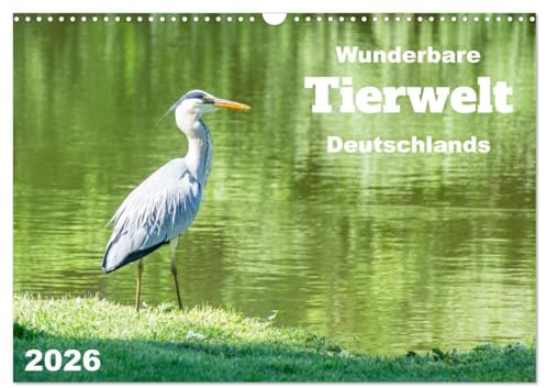 Wunderbare Tierwelt Deutschlands (Wandkalender 2026 DIN A3 quer), CALVENDO Monatskalender: Einzigartige Aufnahmen von wild lebenden Tieren in Deutschland. (CALVENDO Tiere)