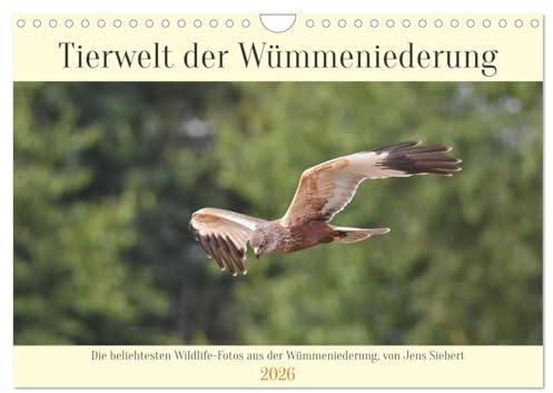 Tierwelt der Wümmeniederung (Wandkalender 2026 DIN A4 quer), CALVENDO Monatskalender: Die beliebtesten Wildlife-Fotos aus der Wümmeniederung, von Jens Siebert (CALVENDO Tiere)
