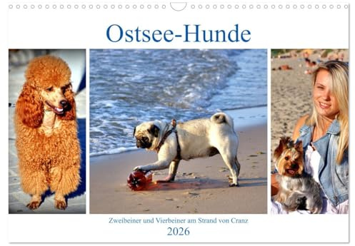 Ostsee-Hunde - Zweibeiner und Vierbeiner am Strand von Cranz (Wandkalender 2026 DIN A3 quer), CALVENDO Monatskalender: Große und kleine Hunde im Ostseebad Cranz/Selenogradsk (CALVENDO Tiere)