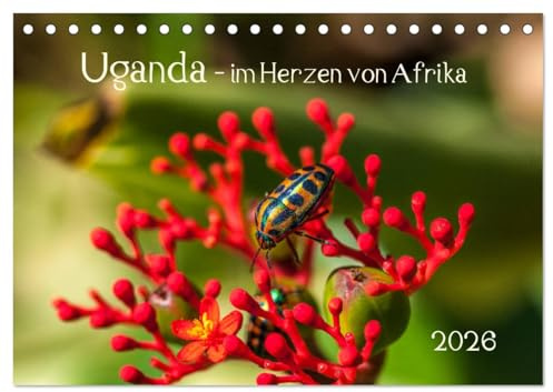 Uganda - im Herzen von Afrika (Tischkalender 2026 DIN A5 quer), CALVENDO Monatskalender: Reise durch ein wunderschönes zentrales afrikanisches Land. (CALVENDO Natur)