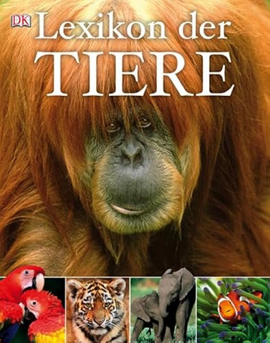 DK Verlag Dorling Kindersley