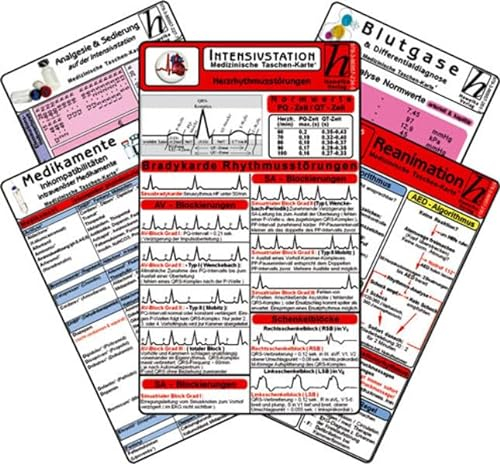 Intensiv-Station Karten-Set 2025 - EKG Diagnostik & Ableitungen, Herzrhythmusstörungen, Reanimation - Innerklinisch, Blutgase, Säure-Basen & ... Analgesie & Sedierung auf der Intensivstation