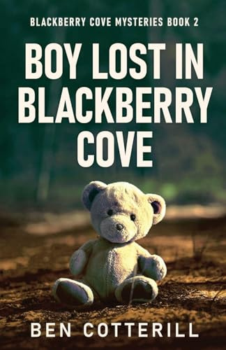 Boy Lost in Blackberry Cove (Blackberry Cove Mysteries, Band 2)