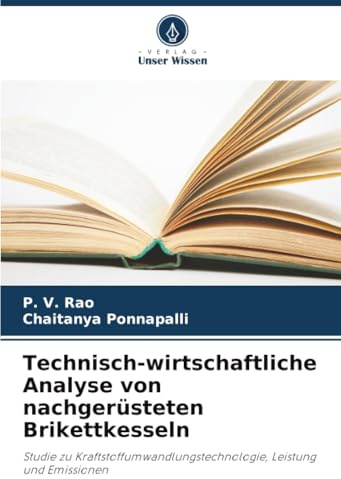 Technisch-wirtschaftliche Analyse von nachgerüsteten Brikettkesseln: Studie zu Kraftstoffumwandlungstechnologie, Leistung und Emissionen