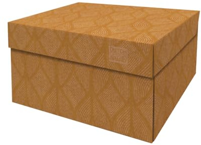 Dutch Design Brand Aufbewahrungsbox mit Deckel – Aufbewahrungsboxen – FSC-zertifizierter, recycelbarer Karton (Größe: 38,9 x 31,8 x 21,1 cm) (Cordoba Terra)