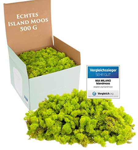 Mia Milano Islandmoos hellgrün konserviert I Moos Deko zum Basteln I 500g Echtes Dekomoos Isländisch für Moosbild, Mooswand lebend