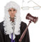 Silver Fancy Dress Baroque LORD JUDGE Fancy Dress Costume Set Judge Wig, Gavel Hammer, Judge Gold Spectacles Aristocrat, Lord, Judge, King, Noble Dress Up for Party, Carnival