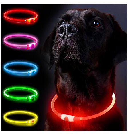 Hundehalsbandanhänger (Red)