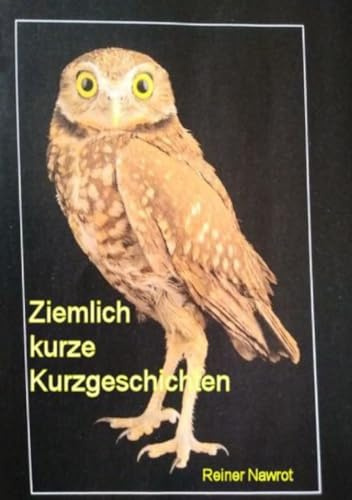 Ziemlich kurze Kurzgeschichten: Skurrile Storys