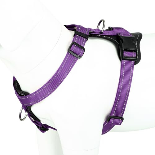 Plutus Pet No Pull Dog Harness with Leather Accents, Adjustable Reflective | Heavy Duty Nylon Pet Vest, for Training and Hiking, Front Clip, Easy Walk for Small Medium Large Dogs, Purple, L