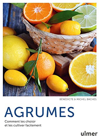 Agrumes - Comment les choisir et les cultiver facilement