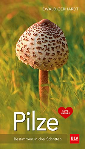 Pilze: Bestimmen in drei Schritten (BLV Pilze)
