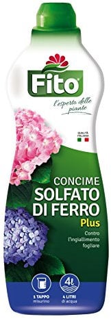 Solfato di Ferro Plus