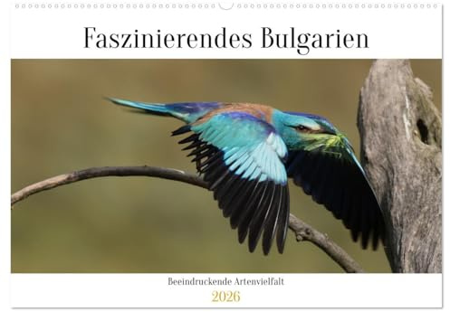 Faszinierendes Bulgarien (Wandkalender 2026 DIN A2 quer), CALVENDO Monatskalender: Die beeindruckende Tierwelt Bulgariens (CALVENDO Tiere)