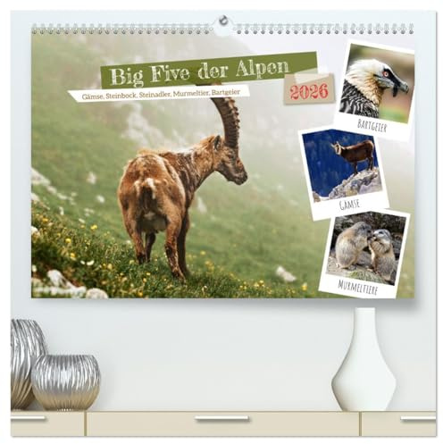 Big Five der Alpen Gämse, Steinbock, Murmeltier, Steinadler, Bartgeier (hochwertiger Premium Wandkalender 2026 DIN A2 quer), Kunstdruck in Hochglanz: ... der alpinen Tierwelt stehen. (CALVENDO Tiere)