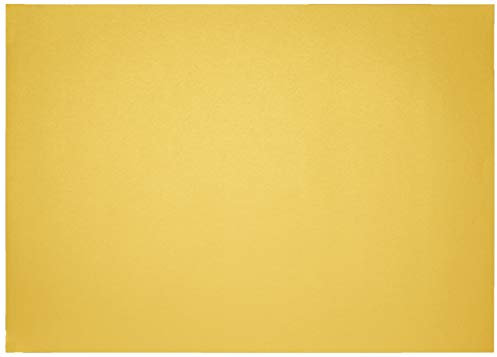 Clairefontaine 397280C Packung (mit 125 Bögen Zeichenpapier Maya, 50 x 70 cm,270g, glatt, ideal für Trockentechnik und Einrahmen) gold