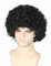 Topcosplay Herren Afro Perücke mit Schnurrbart 70er Jahre Funky Hippie Perücke, Kurz Lockig Perücke Schwarz für Fasching Karneval Halloween
