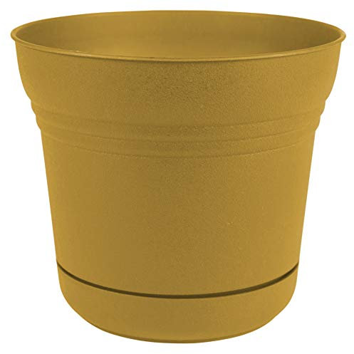 Bloem Pot de Fleurs Jaune 17,8 cm, 17,8 cm