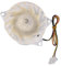 Refrigerator Cooling Fan Accessories, Compatible For LG EAU64824806 12V 1A DC Z40E12MS1A0-57K0, Refrigerator Cooling Fan Parts