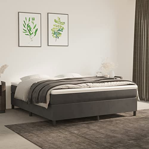 Festnight Bett ohne Kopfteil 160x200 cm Jugendbett Bettgestell Doppelbett Einzelbett Polsterbett Samt Gästebett Bettrahmen Schlafzimmer Bett Jugendzimmer