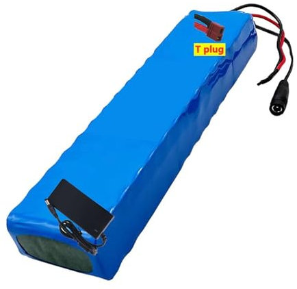Batteria per Bici Elettrica 36V 36Ah Batteria al Litio per Bici Elettrica 10S3P con Caricabatteria Batteria al Litio 36V Batteria per Scooter per Motori da 200W A 800W T plug,36V 36Ah