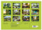 Nature Feeling - Urban Jungle (hochwertiger Premium Wandkalender 2025 DIN A2 quer), Kunstdruck in Hochglanz
