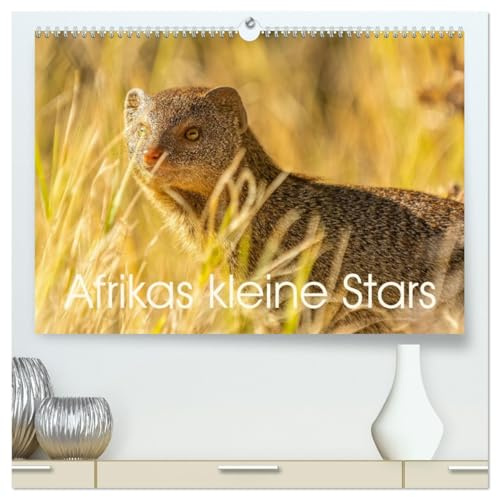Afrikas kleine Stars (hochwertiger Premium Wandkalender 2026 DIN A2 quer), Kunstdruck in Hochglanz: Mangusten, Erdmännchen und Co. (CALVENDO Tiere)
