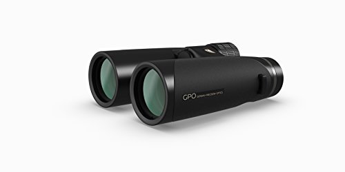 GPO German Precision Optics Passion HD 8x42mm Schmidt-Pechan Prisma Fernglas, leichtes Fernglas für Jagd oder Wildtierbeobachtung, Doppel-HD-Glas, Kohleschwarzer Magnesiumkörper (B600)