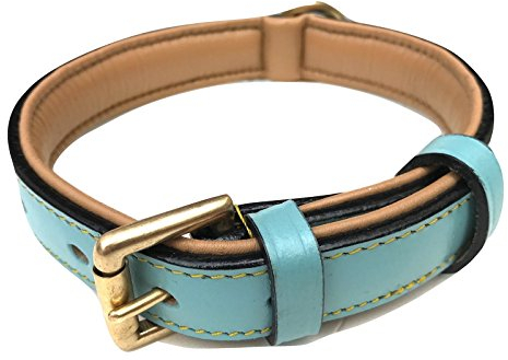 Soft Touch Collars Hundehalsband aus Leder, gepolstert, Türkis mit beigefarbener Polsterung, Größe M