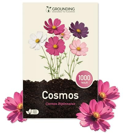 Grounding - Semillas de Cosmea Mix blanco, rosa y fucsia, 1000 semillas, altura 80–120 cm. Cosmos bipinnatus es ideal para parterres y flores cortadas - Siembra fácil, Calidad Europea