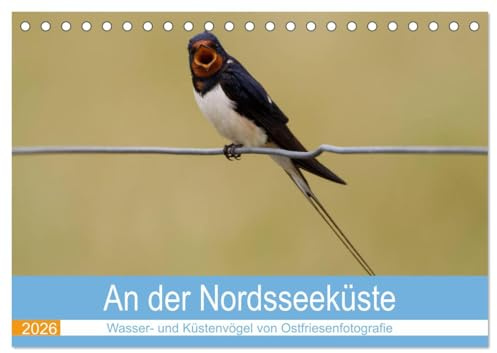 An der Nordseeküste - Wasser- und Küstenvögel fotografiert von Ostfriesenfotografie (Tischkalender 2026 DIN A5 quer), CALVENDO Monatskalender: An der ... von Ostfriesenfotografie (CALVENDO Tiere)
