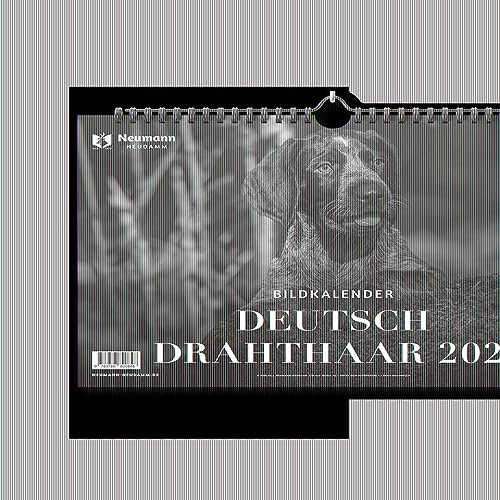 Deutsch Drahthaar 2024: Themenkalender
