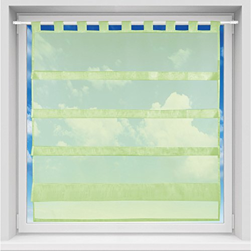 Bistrogardine in transparent mit Raffoptik, einfarbige und lichtdurchlässige Voile-Scheibengardine mit Schlaufe, in vielen Größen verfügbar (100 x 110 cm/grün - Apple)