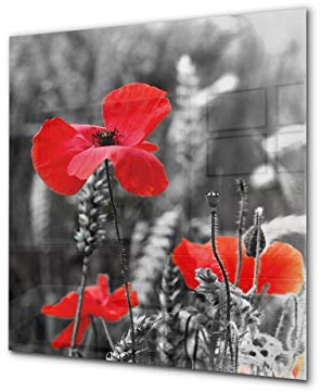 Glass kitchen backsplash – Tempered Glass splashback – Photo backsplash BS03 Flower Series: Poppies Meadow Field