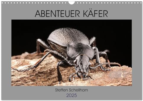 ABENTEUER KÄFER (Wandkalender 2025 DIN A3 quer), CALVENDO Monatskalender: Ein phantastischer Einblick in die Vielgestalt der Käfer (CALVENDO Tiere)