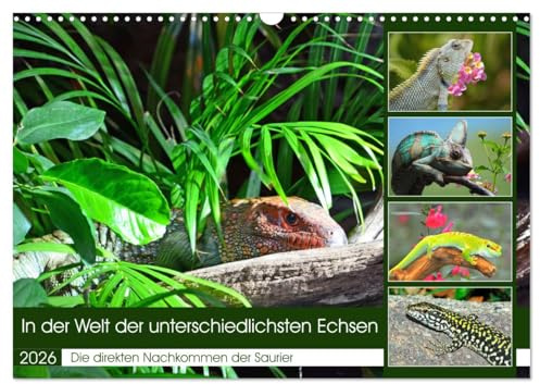 In der Welt der unterschiedlichsten Echsen (Wandkalender 2026 DIN A3 quer), CALVENDO Monatskalender: Die direkten Nachkommen der Saurier (CALVENDO Tiere)