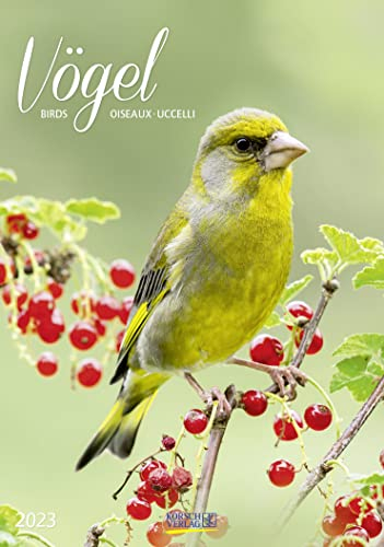 Korsch Verlag
