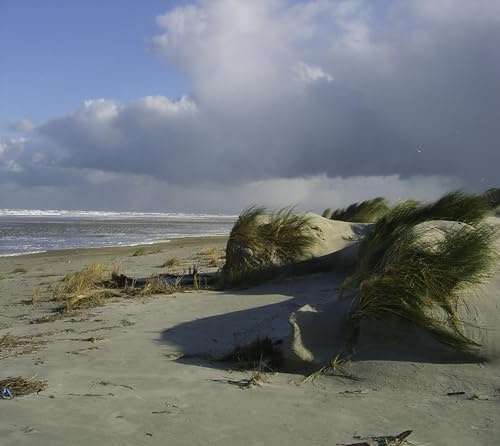 Juist, mehr als nur Sand: Gedichte und Fotos eines Juistliebhabers