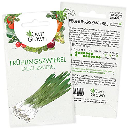 Frühlingszwiebel Samen: Premium Zwiebel Samen zur Anzucht von ca. 100 Frühlingszwiebel Pflanzen – Bestes Wintergemüse Saatgut für Hochbeet und Garten – Samen Gemüse Balkon – Gemüse Samen von OwnGrown
