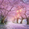 Puzzle 3000 Teile+3000 Teile Rosa Wälder Puzzle Erwachsene Puzzle Kinder Erwachsene Kinder Familie Geschicklichkeitsspiel-48.03x31.88 Zoll (122 x 81cm)