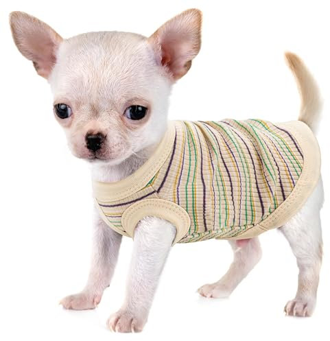 Erhöhen Sie den Komfort und die Mode Ihres Haustiers: Hochwertige gerippte Hundeweste aus 100 % Baumwolle für kleine Rassen wie Chihuahuas, Yorkshire Terrier und Welpen. Ganzjähriger Stil mit