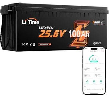 LiTime Batteria LiFePO4 24V 100Ah con Bluetooth per Barche, Pesca Nautica | Max 15000 Cicli, 2560Wh, BMS 100 A, Protezione Basse Temperature, IP65, Batteria Litio 24V per Motori da Traina, Off-grid