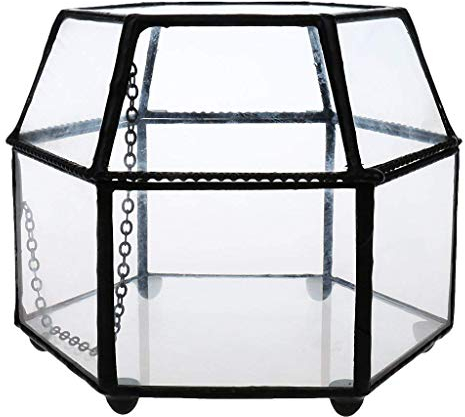 Tubayia Cube Glas Pflanze Terrarium Sukkulente Pflanzer Glasterrarium Gewaechshaus Pflanze Töpfe