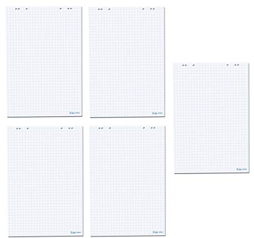 Herlitz Flipchartblock, 68x99cm (kariert/gelocht), 5 Bl?cke (20 Blatt je Block) (1, Bl?cke ohne Zubeh?r (je 5 im Karton))