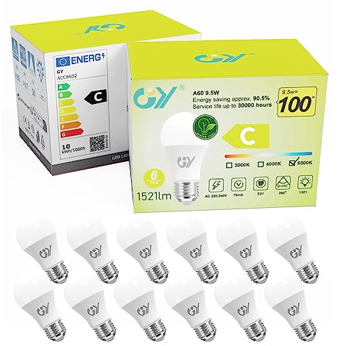 GY Lampadine LED E27, 9.5W (equivalenti a 100W), 1521 Lumen, 6500K Bianco Fredda, Risparmio Energetico LED A60, Lunga Durata, Basso Consumo,Non Dimmerabile, 12 pezzi