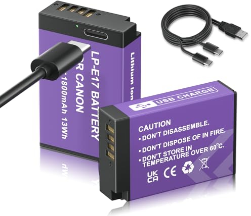 Mspalocell 2 Stück LP-E17 Ersatz Akku mit USB Typ C Ladeanschluss 1800mAh,Kompatibel mit Canon XC10 XC15 EOS-R RA R6 R5 R7 EOS 60D 70D 80D 90D 5D Mark I Mark II Mark III IV 6D Mark I II 7D Mark I II